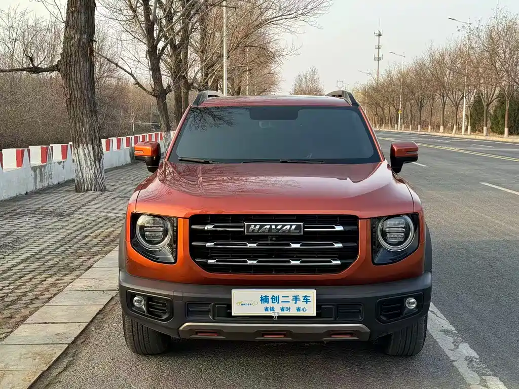 Haval Big Dog 2020 — фото 3