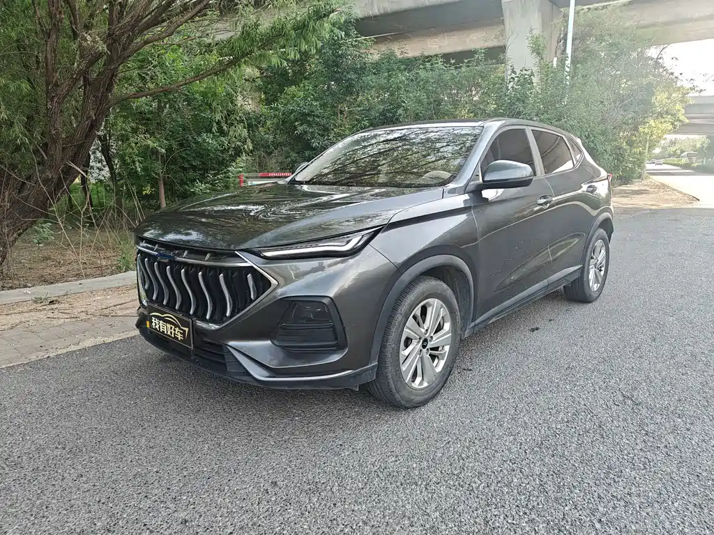 Oshan Oushang X5 2021