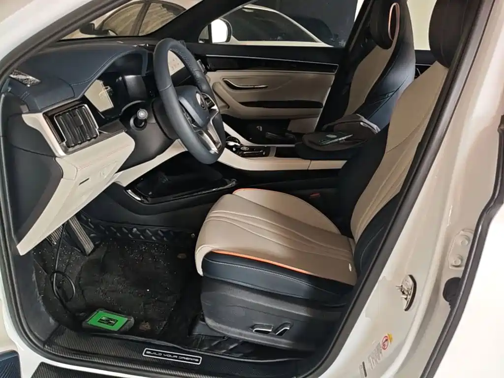 BYD Song PLUS New Energy 2023 — фото 15