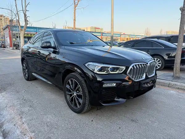 BMW X6 2020