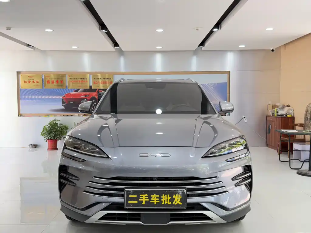 BYD Song PLUS New Energy 2024 — фото 2