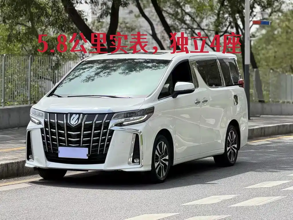 Toyota Alphard 2019 — фото 13