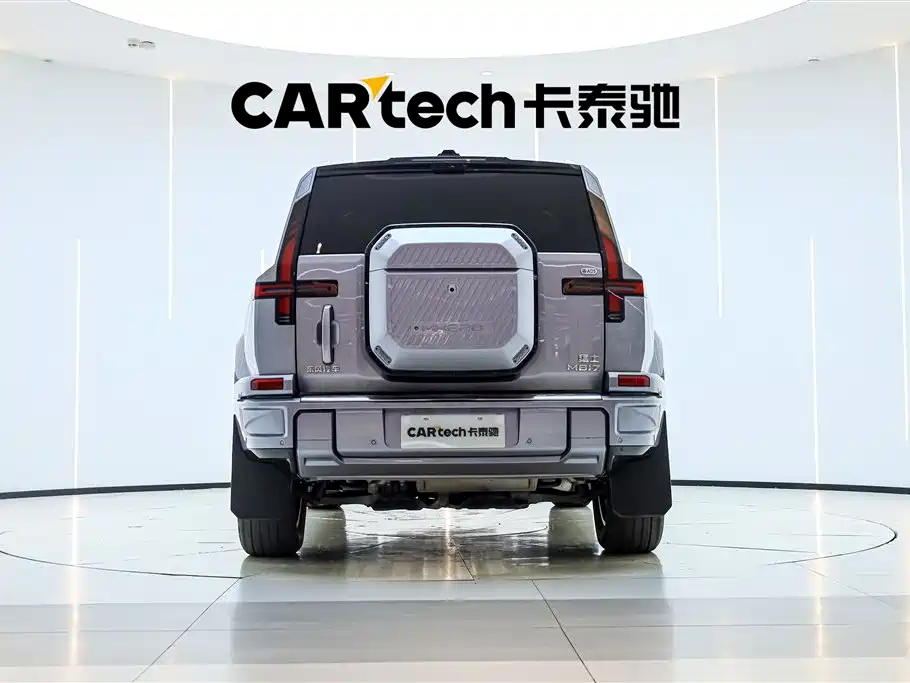 Mengshi M817 2025