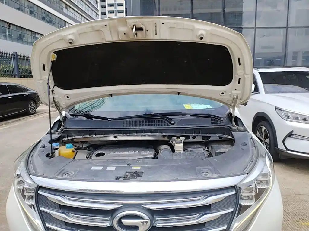 GAC Trumpchi M8 2019 — фото 20