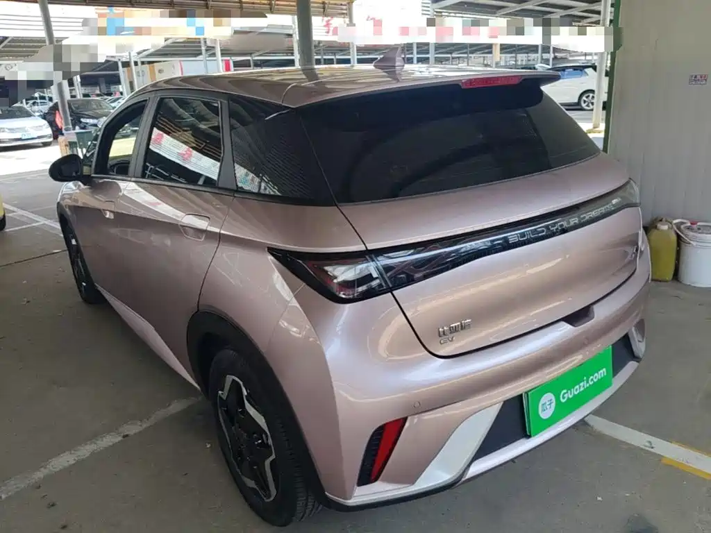 BYD Dolphin 2022