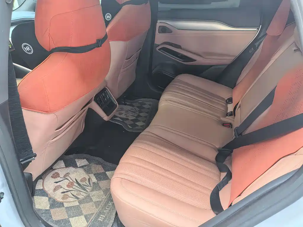 BYD L EV 2024