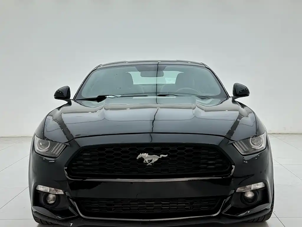 Ford Mustang 2015 — фото 2
