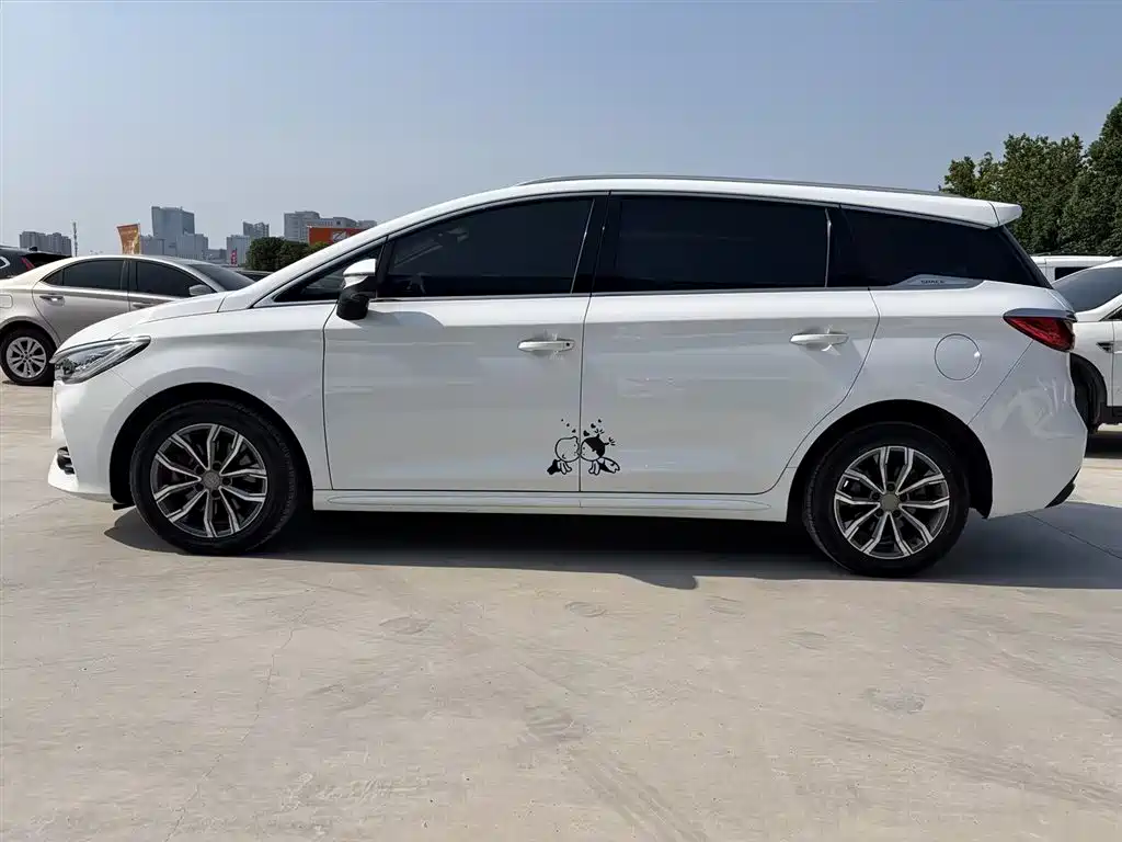 BYD MAX 2020