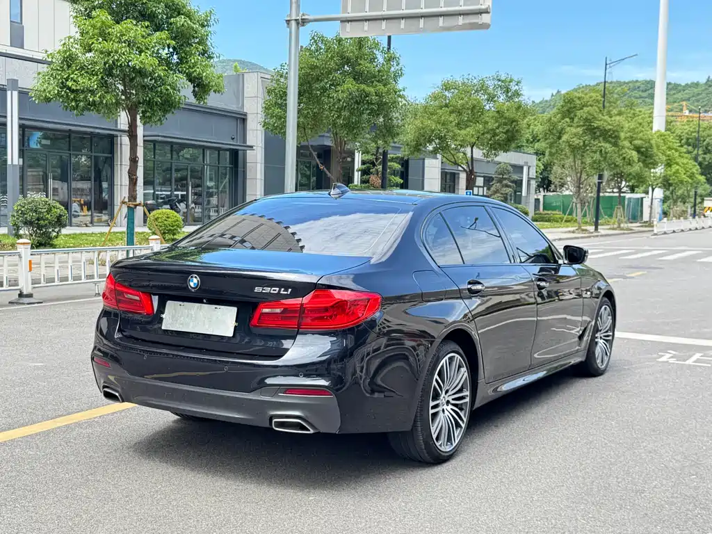 BMW 5 Series 2018 — фото 17