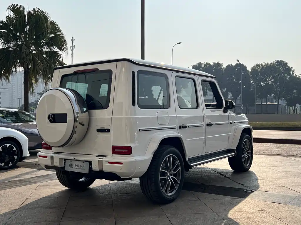 Mercedes-Benz G-Class — фото 19