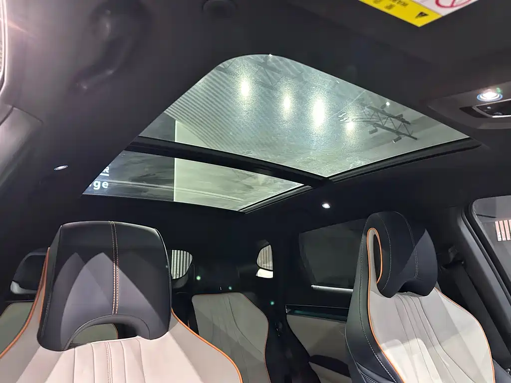 BYD PLUS New Energy 2023 — фото 10