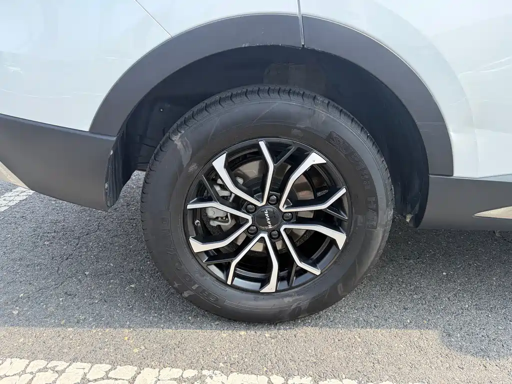 Haval H6 2023 — фото 13