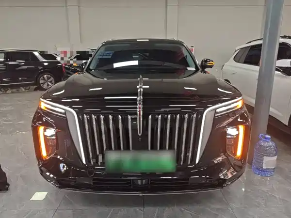 Hongqi E-HS9 2023