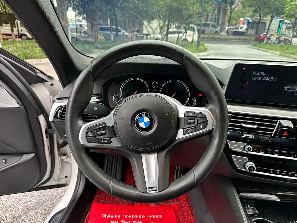 BMW 5 Series 2019 — фото 16