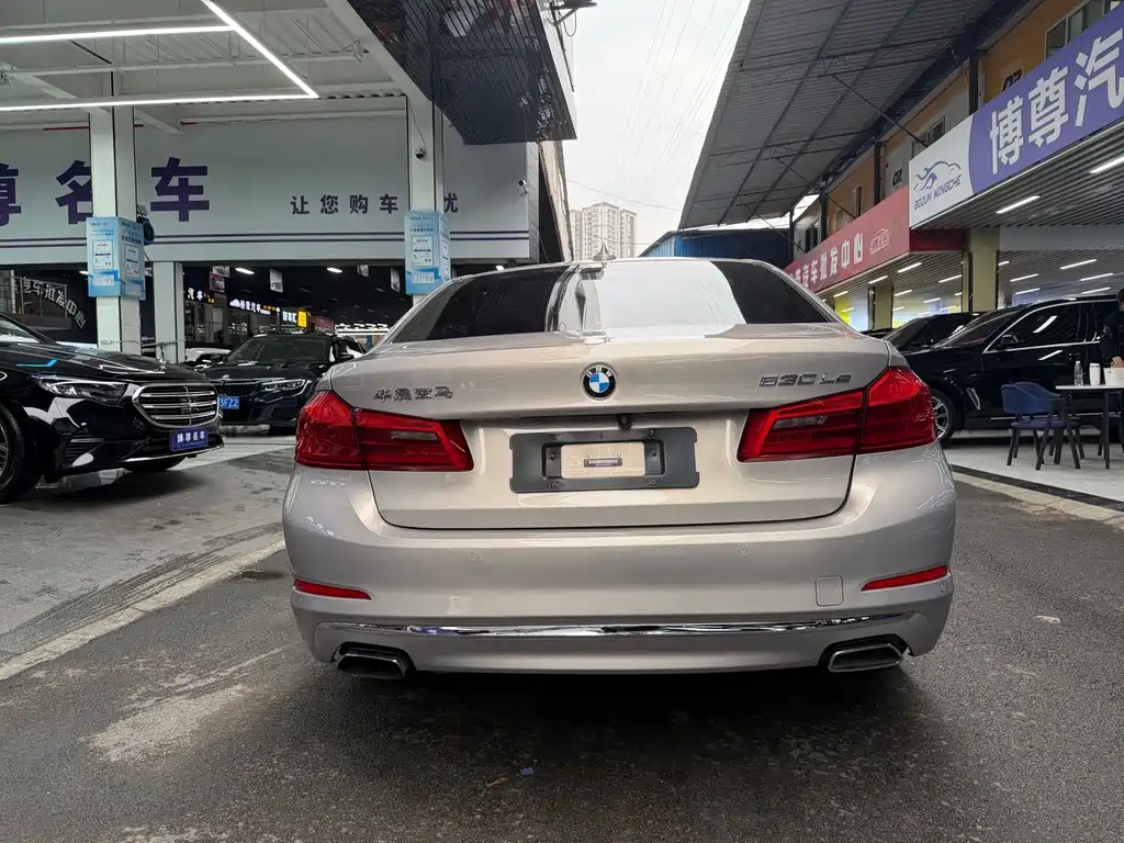 BMW 5 Series New Energy 2019 — фото 22