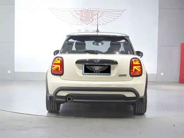 MINI MINI 2022