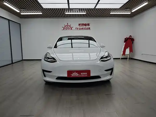 Tesla Model 3 2020