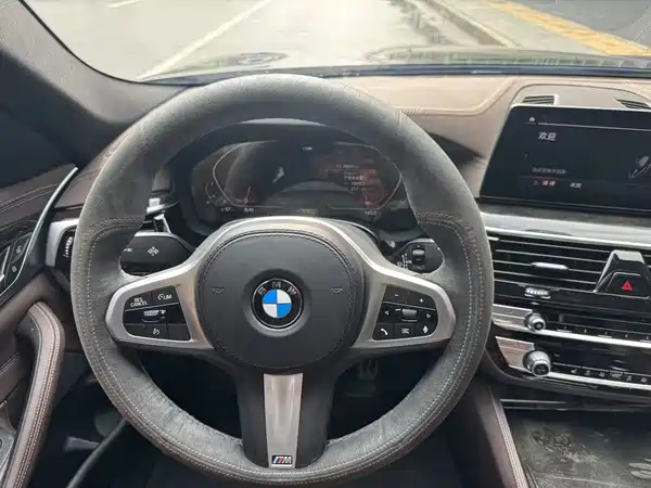 BMW 5 Series 2019