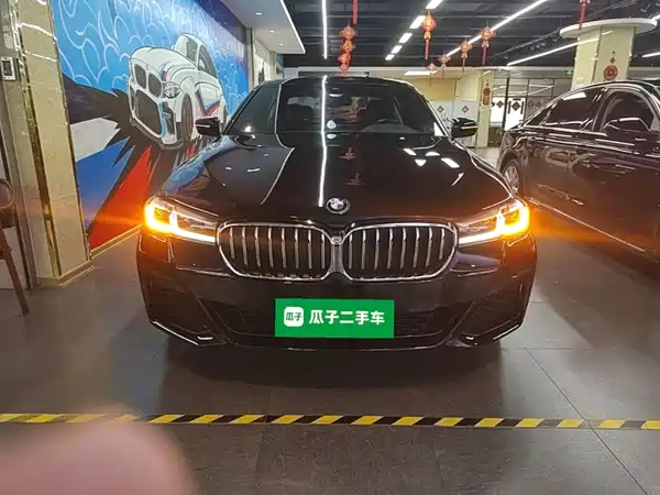 BMW 5 Series New Energy 2021