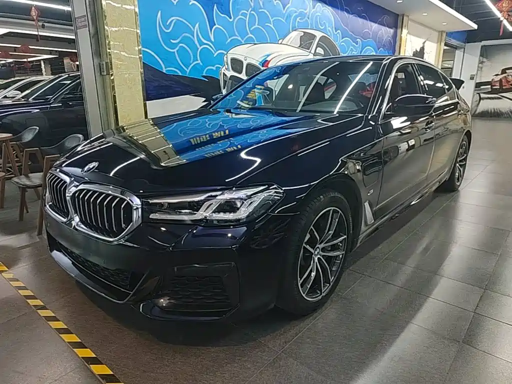 BMW 5 Series New Energy 2021 — фото 2