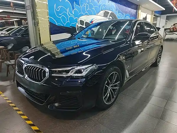 BMW 5 Series New Energy 2021