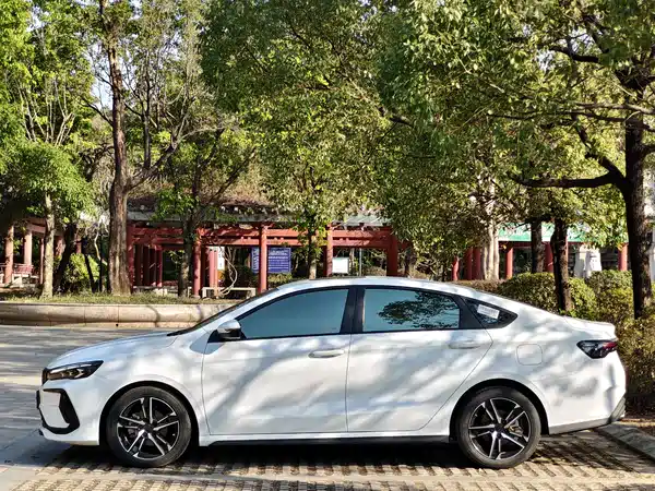 Geely Binrui 2024