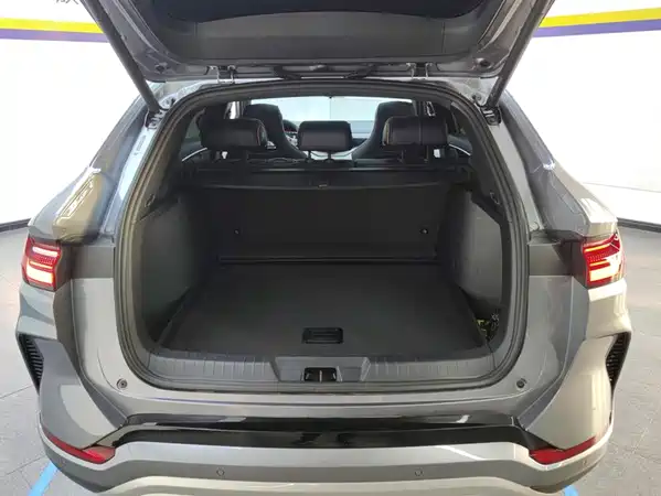 BYD Song PLUS New Energy 2024