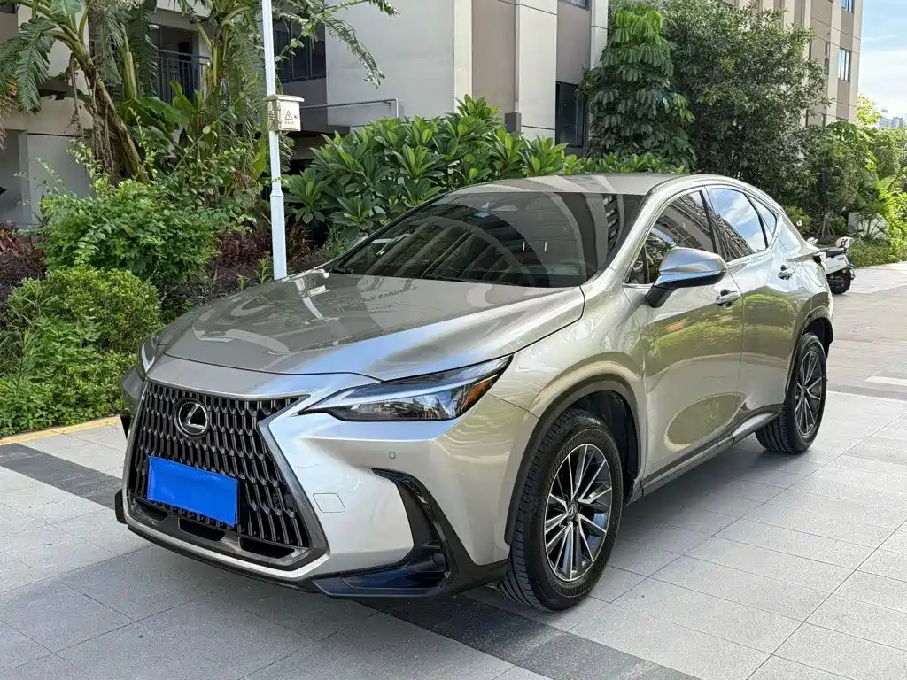 Lexus NX 2024 — фото 1