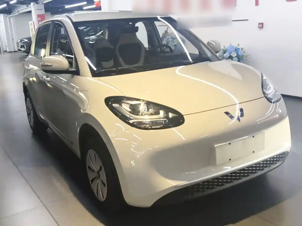 Wuling Bingo 2024