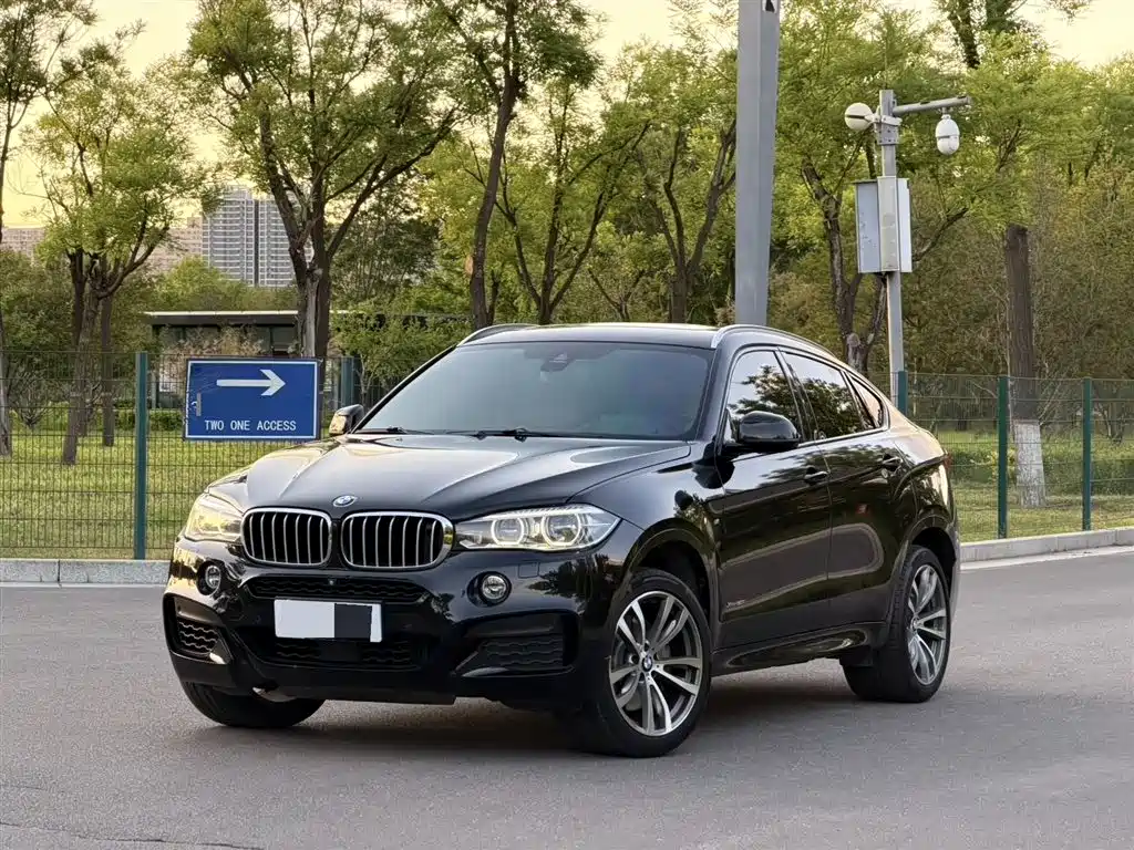 BMW X6 2017 — фото 1