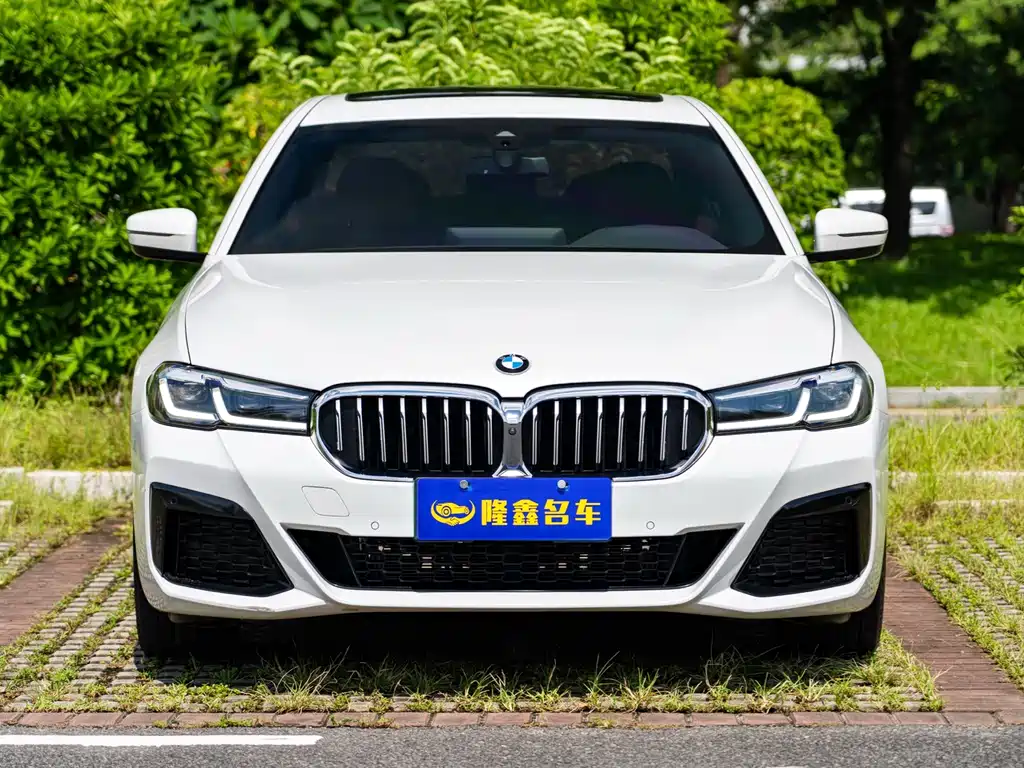 BMW 5 Series 2022