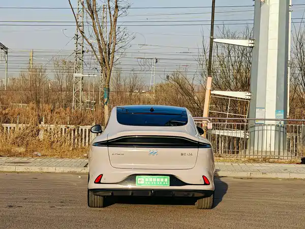 IM Motors LS6 2023