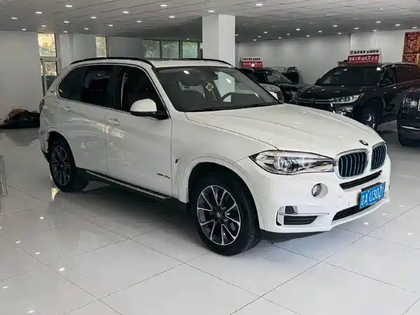 BMW X5 New Energy 2020