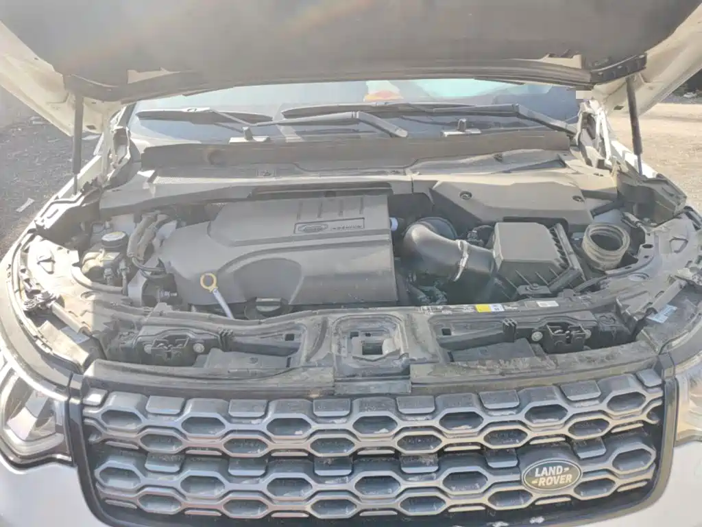 Land Rover Discovery Sport 2020 — фото 11