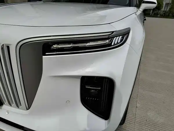 Hongqi E-HS9 2022