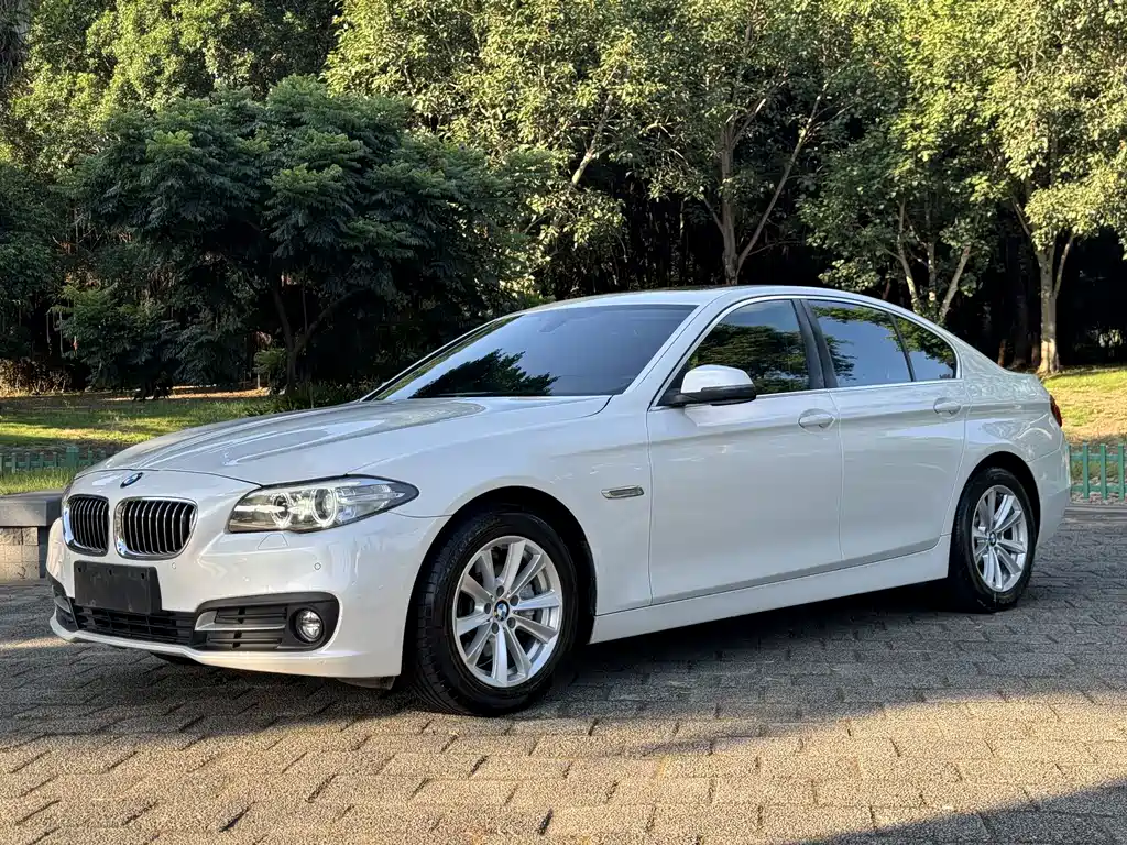 BMW 5 Series 2015