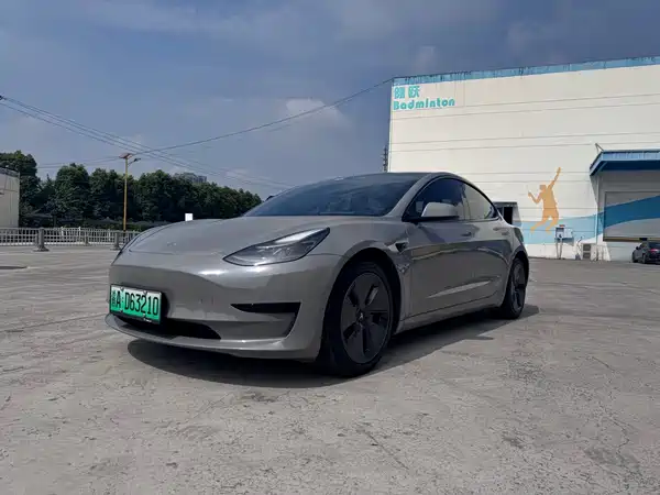 Tesla Model 3 2021