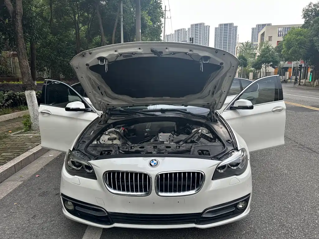 BMW 5 Series 2015 — фото 13