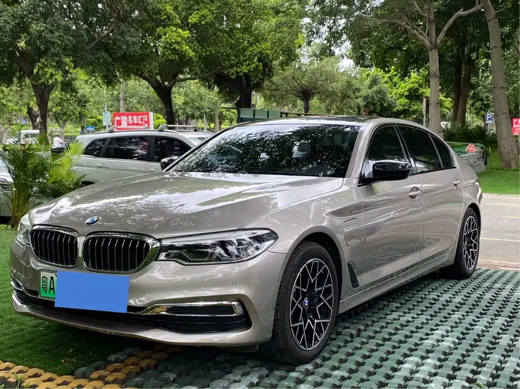 BMW 5 Series New Energy 2019