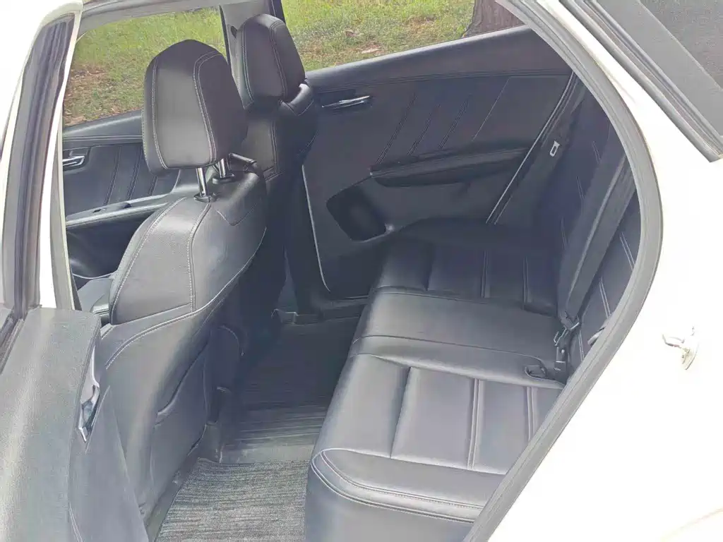 BYD e2 2019