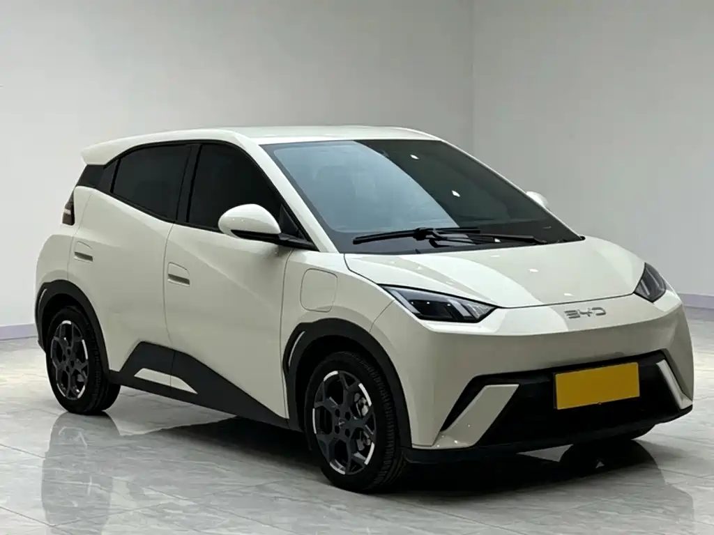 BYD Seagull 2024