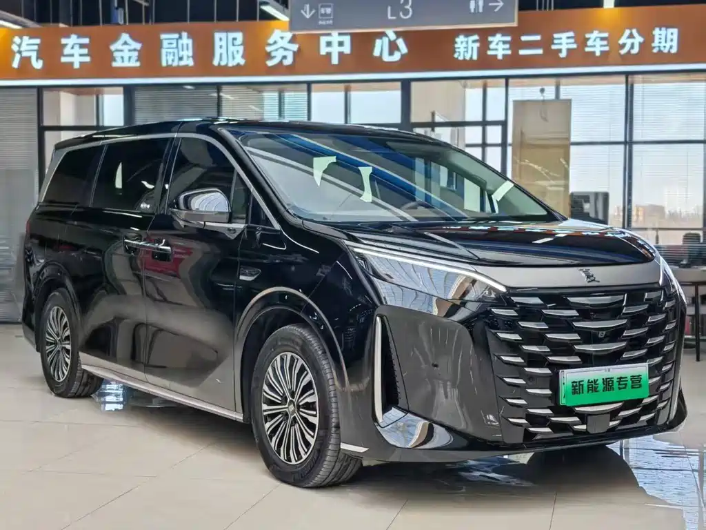 BYD Xia 2025 — фото 3