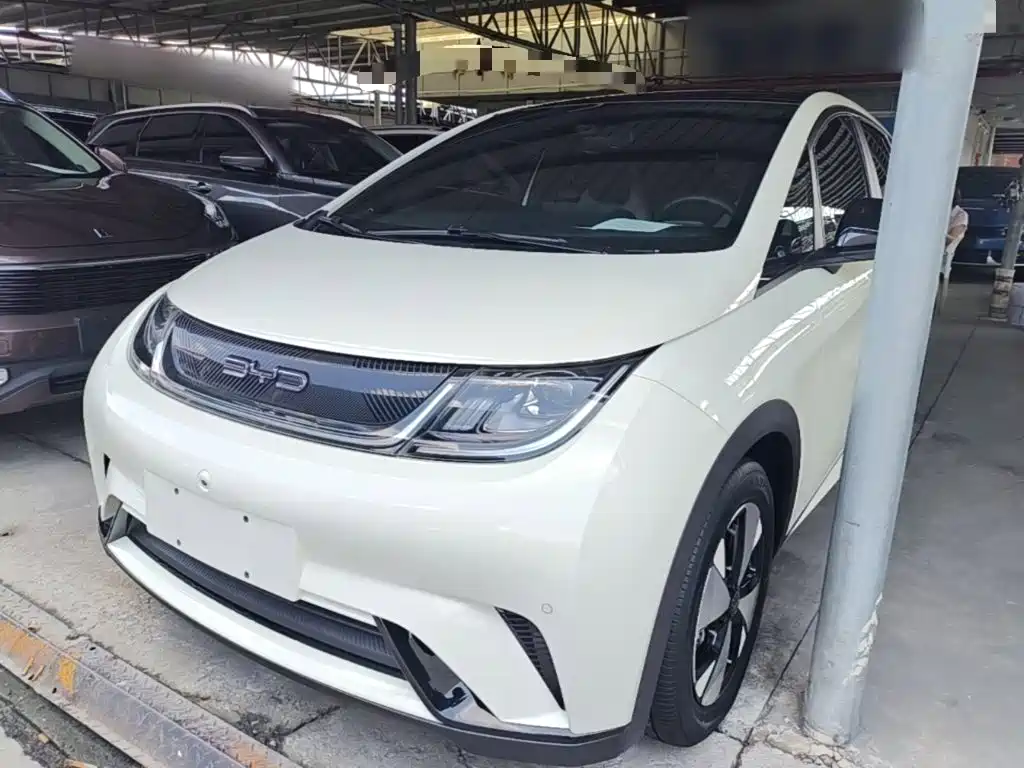 BYD Dolphin 2023 — фото 2