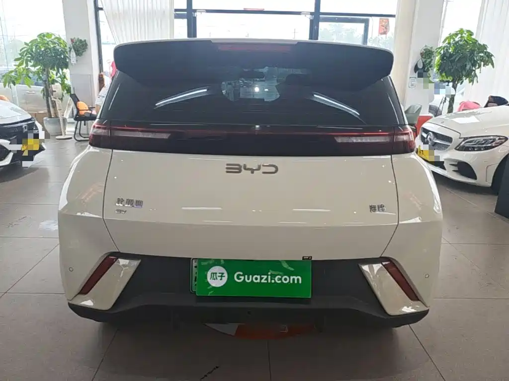 BYD Seagull 2024