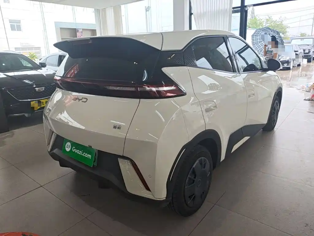 BYD Seagull 2024