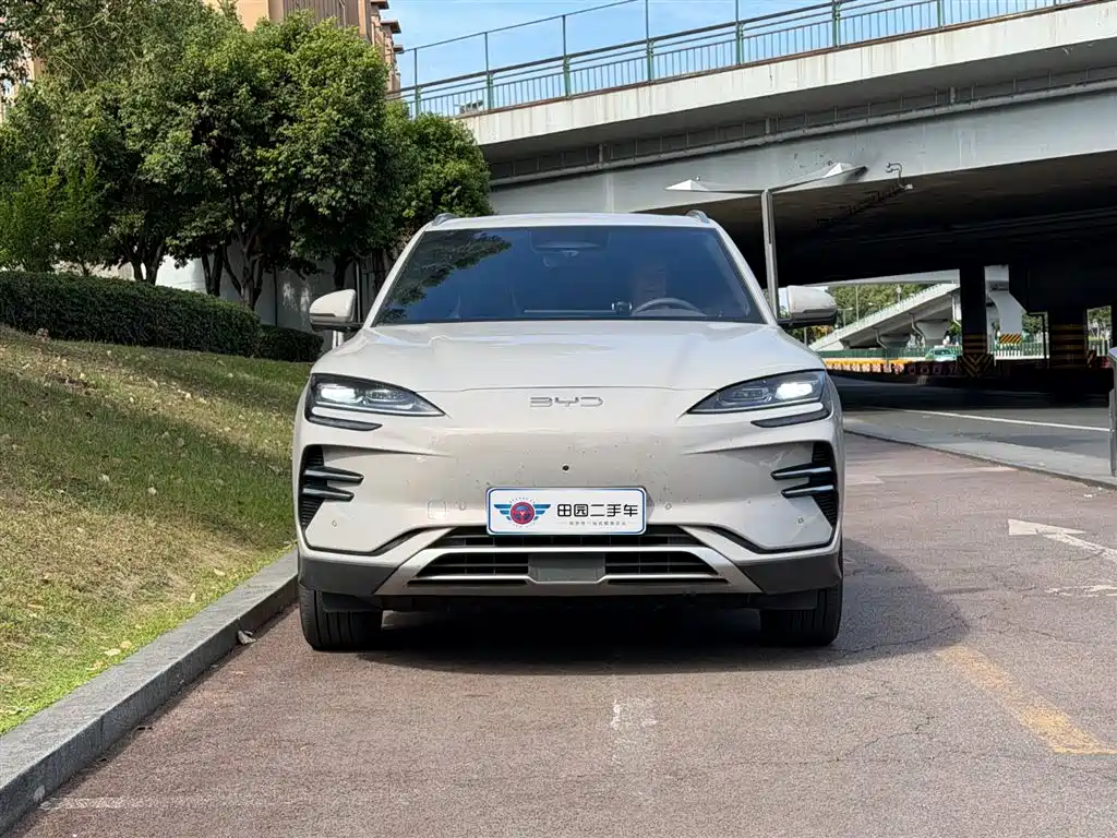 BYD PLUS New Energy 2025 — фото 2