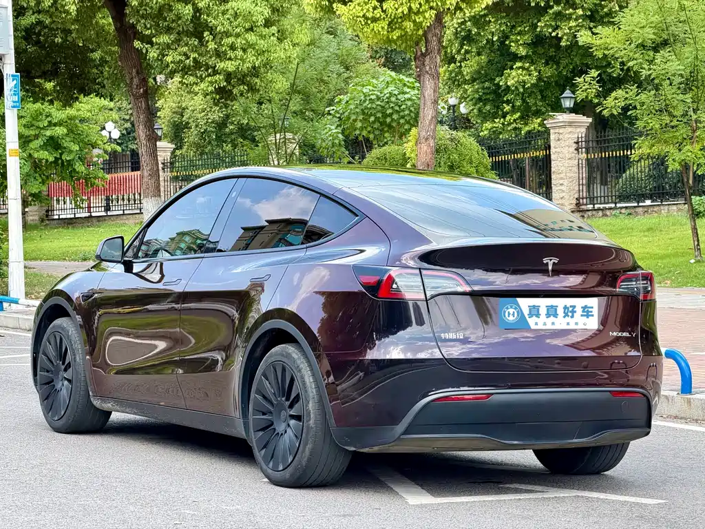 Tesla Model Y 2023 — фото 6