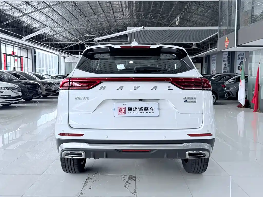 Haval H6 2023 — фото 12