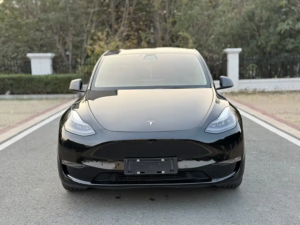 Tesla Model Y 2021 — фото 2