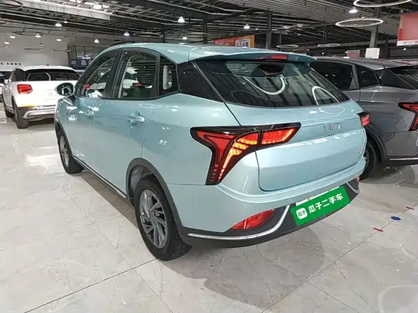 Neta V 2023
